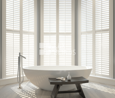 Nevada White Shutters