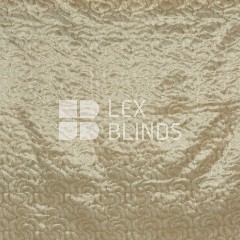 Signature Collection