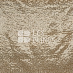 Signature Collection