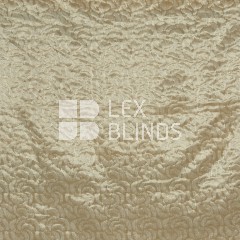 Signature Collection
