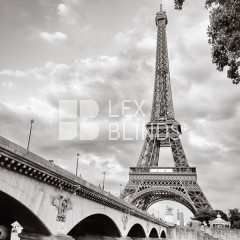 Black and white collection