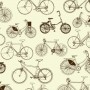 Old School Bikes
