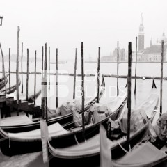 Black and white collection