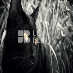Black and white collection