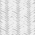 Acacia Limestone